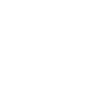 Rhytmelo icon · white