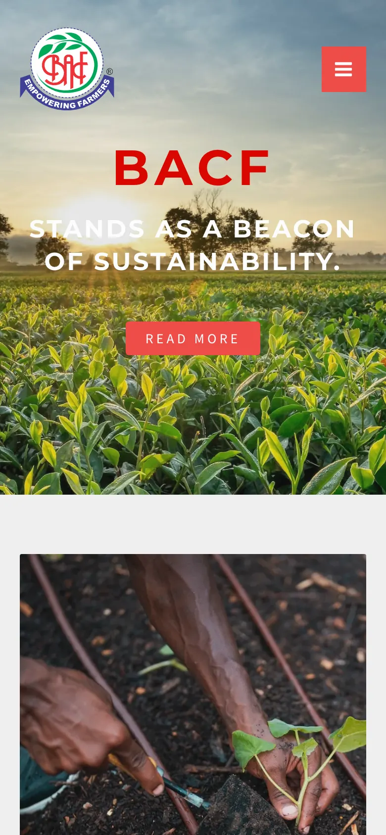 nutricrop.co.in: the home page (mobile)